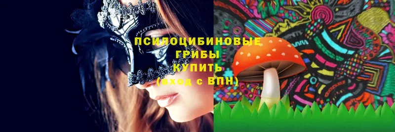 Псилоцибиновые грибы Magic Shrooms  что такое наркотик  Починок 